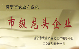 市級龍頭企業(yè)-2009.jpg