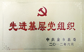 先進(jìn)基層黨組織-2012.jpg