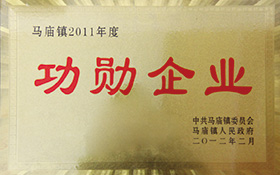 公路建設(shè)捐資功勛企業(yè)-2011.jpg